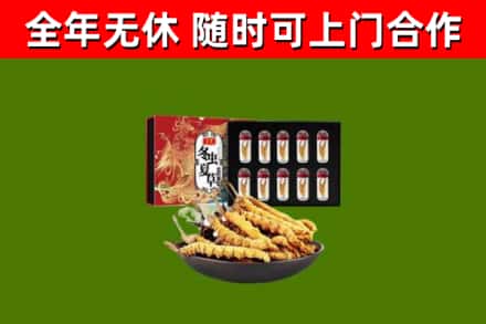 陆丰回收冬虫夏草价格